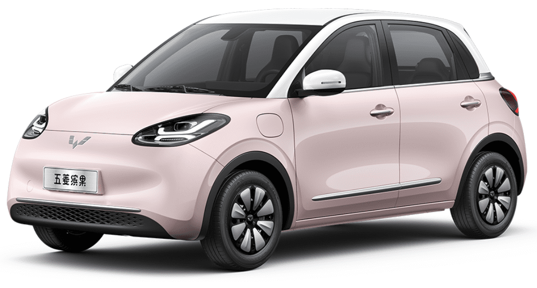 Wuling BinguoEV